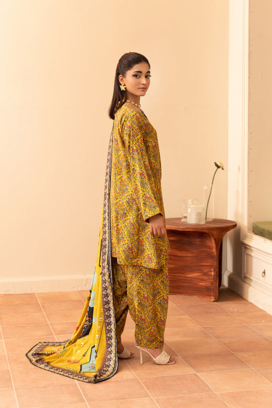 3 Pc Linen Digital Print (109)